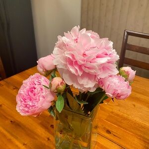 Meet your Posher, Linda